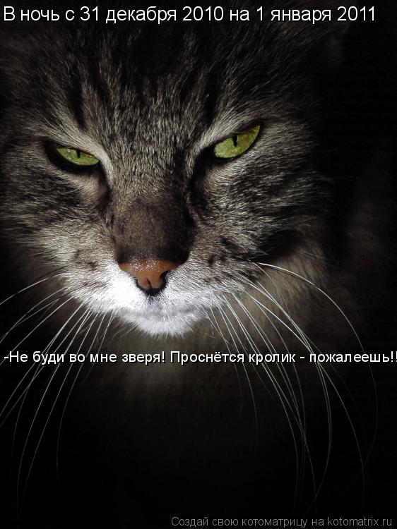 Котоматрица: -Не буди во мне зверя! Проснётся кролик - пожалеешь!!! В ночь с 31 декабря 2010 на 1 января 2011
