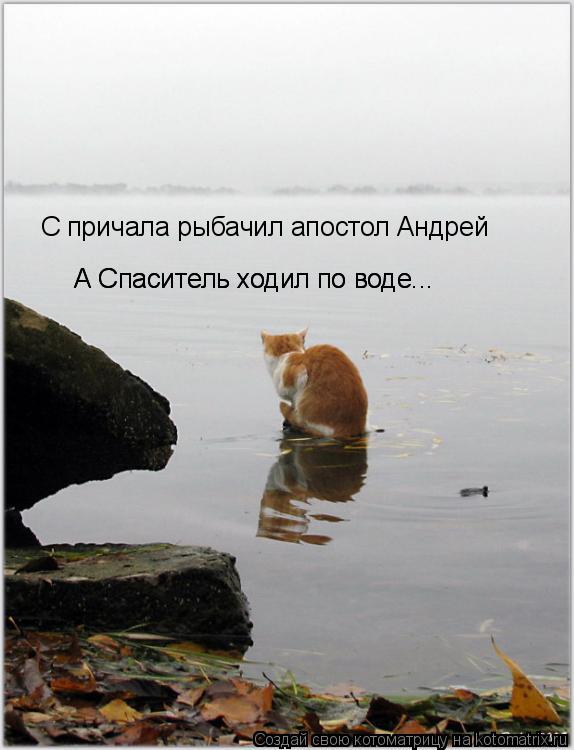 С причала рыбачил апостол Андрей А Спаситель ходил по воде... А Спаситель ходил по воде...... Котоматрица: С причала рыбачил апостол Андрей А Спаситель ходил по воде... А Спаситель ходил по воде...