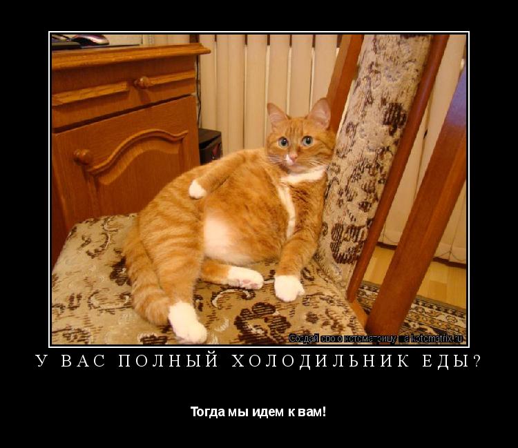 У вас полный холодильник еды? Тогда мы идем к вам!... Котоматрица: У вас полный холодильник еды? Тогда мы идем к вам!