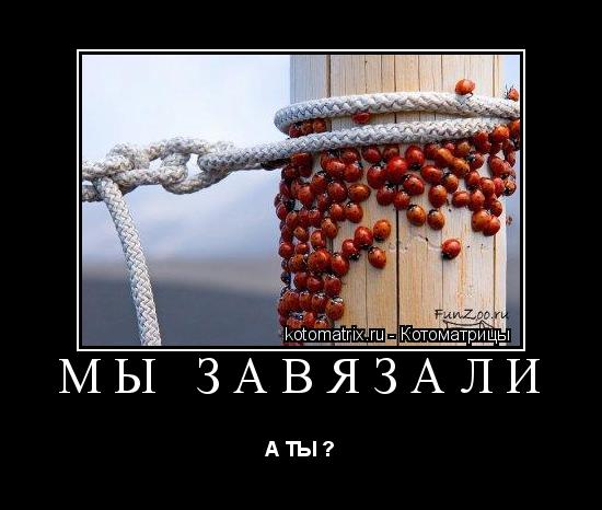 мы завязали А ТЫ ?... Котоматрица: мы завязали А ТЫ ?