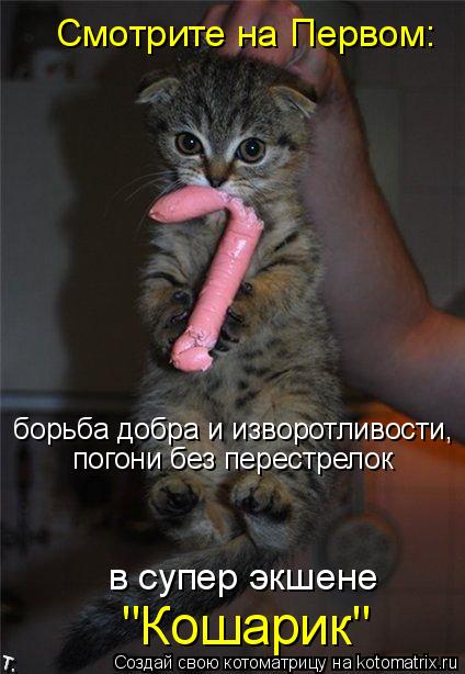 Смотрите на Первом: борьба добра и изворотливости, погони без перестрелок в супер экшене "Кошарик"... Котоматрица: Смотрите на Первом: борьба добра и изворотливости, погони без перестрелок в супер экшене "Кошарик"