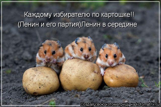 Каждому избирателю по картошке!! (Ленин и его партия)Ленин в середине... Котоматрица: Каждому избирателю по картошке!! (Ленин и его партия)Ленин в середине