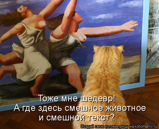 Тоже мне шедевр! А где здесь смешное животное и смешной текст?... Котоматрица: Тоже мне шедевр! А где здесь смешное животное и смешной текст?