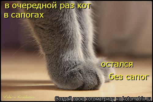 в очередной раз кот в сапогах остался без сапог... Котоматрица: в очередной раз кот в сапогах остался без сапог