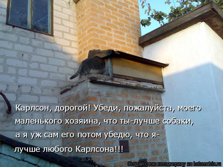 Котоматрица: Карлсон, дорогой! Убеди, пожалуйста, моего маленького хозяина, что ты-лучше собаки, а я уж сам его потом убедю, что я- лучше любого Карлсона!!!