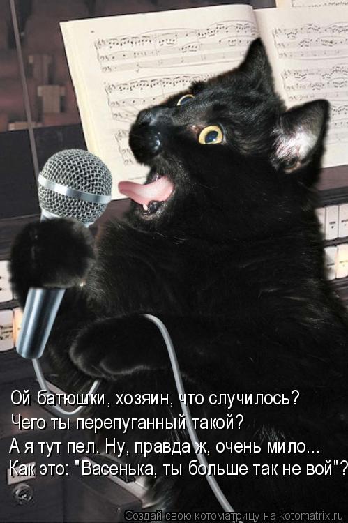 Котоматрица: Ой батюшки, хозяин, что случилось? Чего ты перепуганный такой? А я тут пел. Ну, правда ж, очень мило... Как это: "Васенька, ты больше так не вой"?