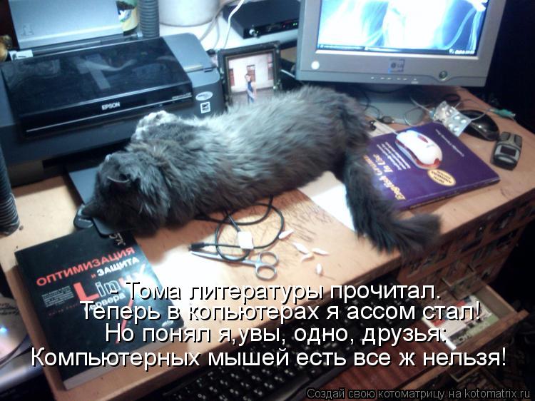 Котоматрица: - Тома литературы прочитал. Теперь в копьютерах я ассом стал! Но понял я,увы, одно, друзья: Компьютерных мышей есть все ж нельзя!