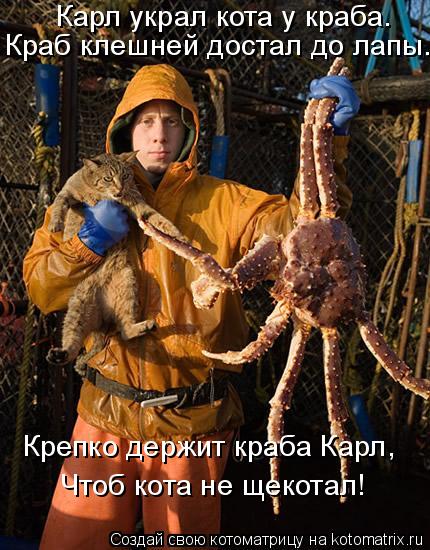 Карл украл кота у краба. Краб клешней достал до лапы. Крепко держит краба Карл, Чтоб кота не щекотал!... Котоматрица: Карл украл кота у краба. Краб клешней достал до лапы. Крепко держит краба Карл, Чтоб кота не щекотал!