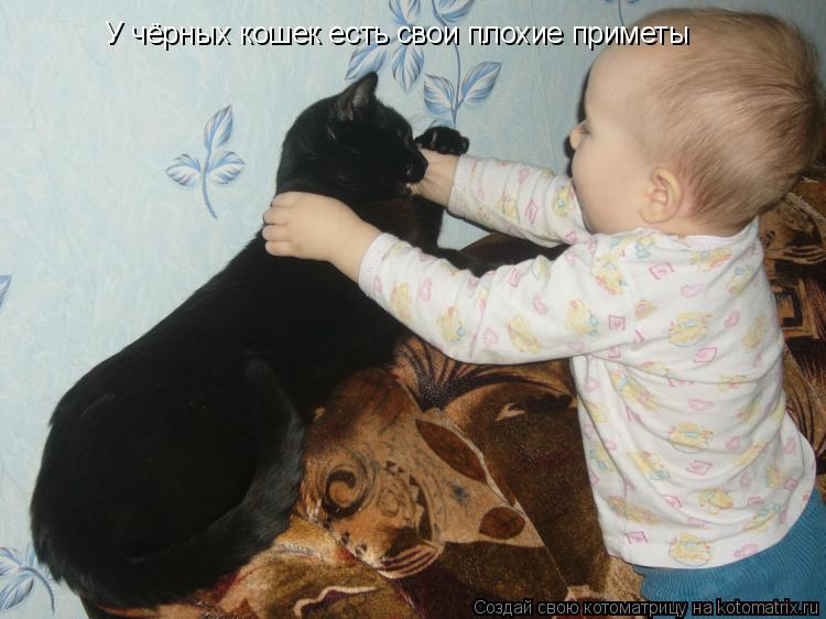 Котоматрица: У чёрных кошек есть свои плохие приметы