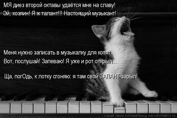 Котоматрица: МЯ диез второй октавы удаётся мне на славу! Эй, хозяин! Я ж талант!!! Настоящий музыкант! Меня нужно записать в музыкалку для котят. Вот, послу