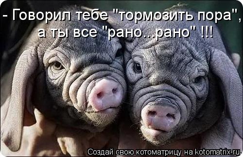 а ты все "рано...рано" !!! - Говорил тебе "тормозить пора",... Котоматрица: а ты все "рано...рано" !!! - Говорил тебе "тормозить пора",