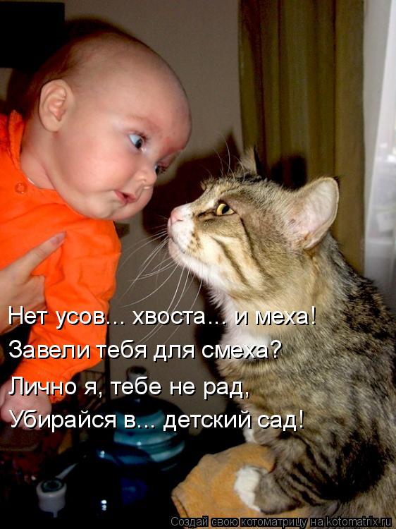 Завели тебя для смеха? Нет усов... хвоста... и меха! Лично я, тебе не рад, Убирайся в... детский са... Котоматрица: Завели тебя для смеха? Нет усов... хвоста... и меха! Лично я, тебе не рад, Убирайся в... детский сад!