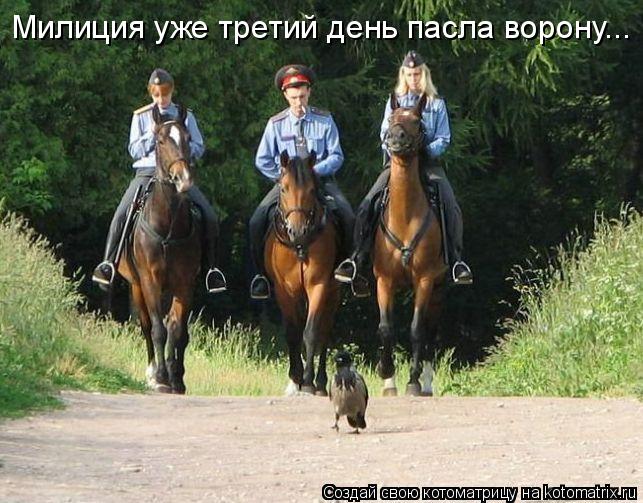 Милиция уже третий день пасла ворону...... Котоматрица: Милиция уже третий день пасла ворону...