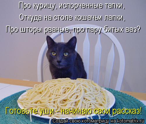 Котоматрица: Про шторы рваные, про пару битых ваз? Про курицу, испорченные тапки, Про курицу, испорченные тапки, Откуда на столе кошачьи лапки, Готовьте у