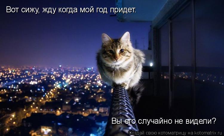 Котоматрица: Вот сижу, жду когда мой год придет. Вы его случайно не видели?