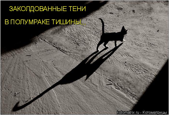 И луна рисует своей тенью И луна рисует своей тенью