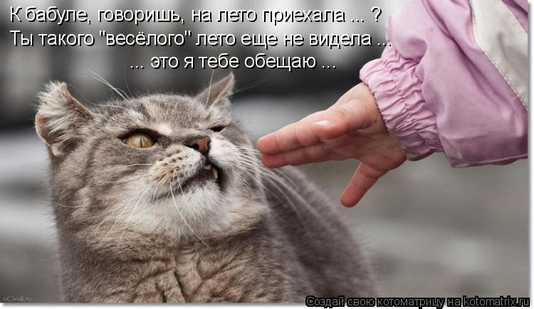 К бабуле, говоришь, на лето приехала ... ? Ты такого "весёлого" лето еще не видела ... ... это я теб... Котоматрица: К бабуле, говоришь, на лето приехала ... ? Ты такого "весёлого" лето еще не видела ... ... это я тебе обещаю ...