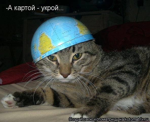 Котоматрица: -А картой - укрой...