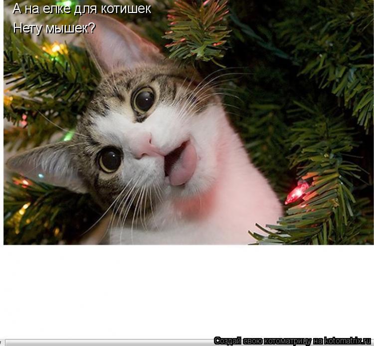 Котоматрица: А на елке для котишек Нету мышек?