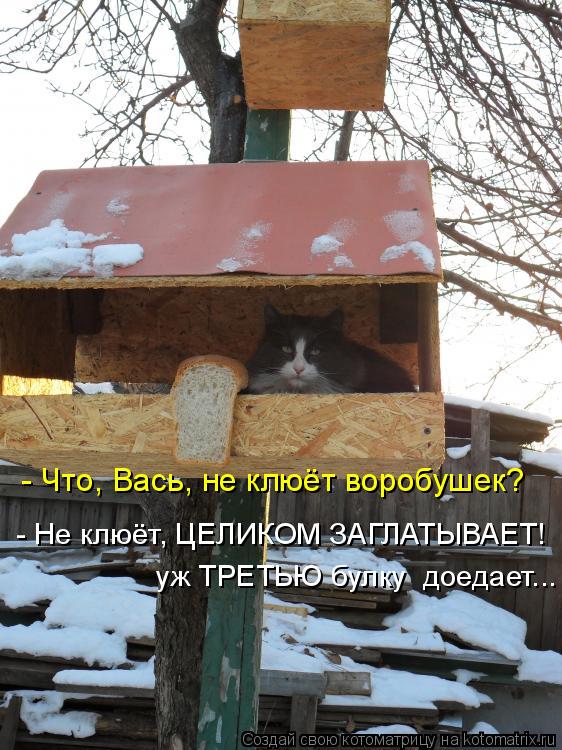 - Не клюёт, ЦЕЛИКОМ ЗАГЛАТЫВАЕТ! уж ТРЕТЬЮ булку доедает... - Что, Вась, не клюёт воробушек?... Котоматрица: - Не клюёт, ЦЕЛИКОМ ЗАГЛАТЫВАЕТ! уж ТРЕТЬЮ булку доедает... - Что, Вась, не клюёт воробушек?