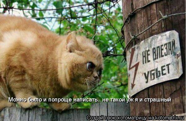 Котоматрица: Можно было и попроще написать.. не такой уж я и страшный