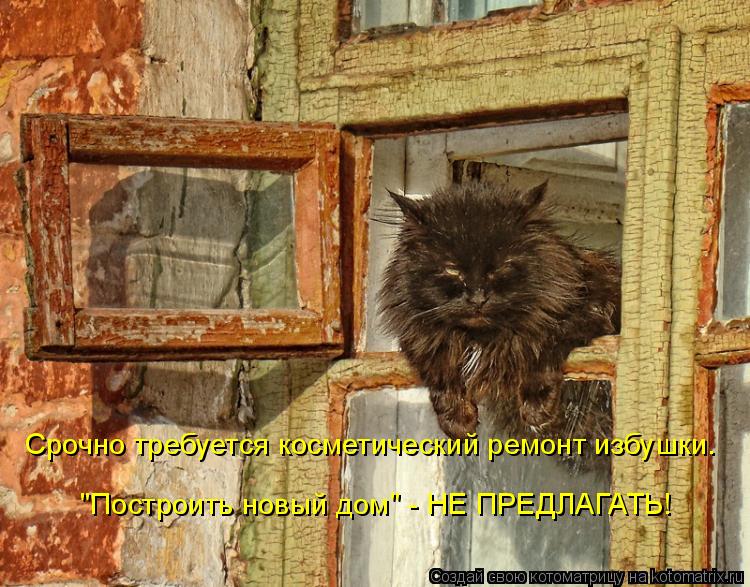 Срочно требуется косметический ремонт избушки. "Построить новый дом" - НЕ ПРЕДЛАГАТЬ!... Котоматрица: Срочно требуется косметический ремонт избушки. "Построить новый дом" - НЕ ПРЕДЛАГАТЬ!