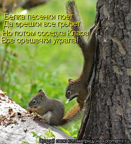 Белка песенки поет Да орешки все грызет Но потом соседка Клара Все орешечки украла!... Котоматрица: Белка песенки поет Да орешки все грызет Но потом соседка Клара Все орешечки украла!