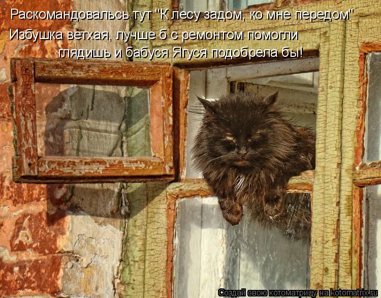 Раскомандовальсь тут "К лесу задом, ко мне передом" Избушка ветхая, лучше б с ремонтом помогли глядиш... Котоматрица: Раскомандовальсь тут "К лесу задом, ко мне передом" Избушка ветхая, лучше б с ремонтом помогли глядишь и бабуся Ягуся подобрела бы!