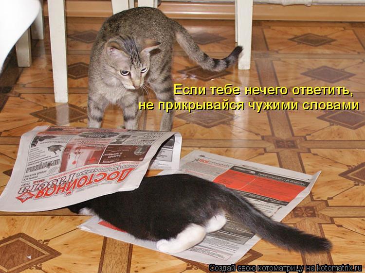 Если тебе нечего ответить, не прикрывайся чужими словами... Котоматрица: Если тебе нечего ответить, не прикрывайся чужими словами