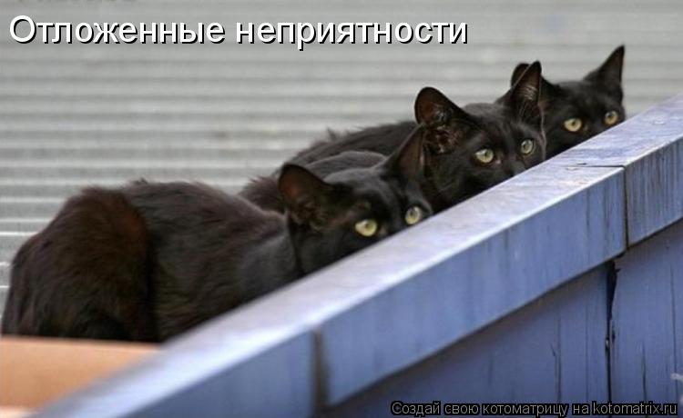 Котоматрица: Отложенные неприятности