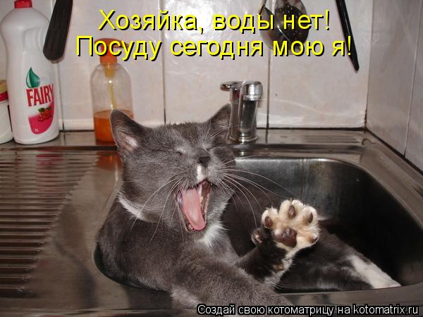 Котоматрица: Хозяйка, воды нет! Посуду сегодня мою я!