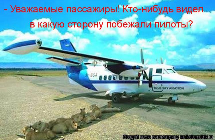 - Уважаемые пассажиры! Кто-нибудь видел в какую сторону побежали пилоты?... Котоматрица: - Уважаемые пассажиры! Кто-нибудь видел в какую сторону побежали пилоты?