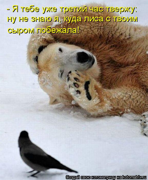 - Я тебе уже третий час твержу: ну не знаю я, куда лиса с твоим сыром побежала!... Котоматрица: - Я тебе уже третий час твержу: ну не знаю я, куда лиса с твоим сыром побежала!