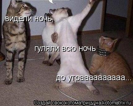Котоматрица: видели ночь, гуляли всю ночь до утраааааааааа...