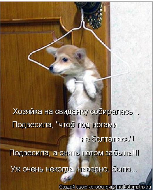 Хозяйка на свиданку собиралась... Подвесила, "чтоб под ногами не болталась"! Подвесила, а снять пото... Котоматрица: Хозяйка на свиданку собиралась... Подвесила, "чтоб под ногами не болталась"! Подвесила, а снять потом забыла!!! Уж очень некогда, наверно, было