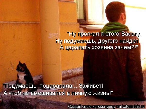 "Ну прогнал я этого Ваську. Ну подумаешь, другого найдет! А царапать хозяина зачем?!" "Подумаешь, поц... Котоматрица: "Ну прогнал я этого Ваську. Ну подумаешь, другого найдет! А царапать хозяина зачем?!" "Подумаешь, поцарапала... Заживет! А чтоб не вмешивался в