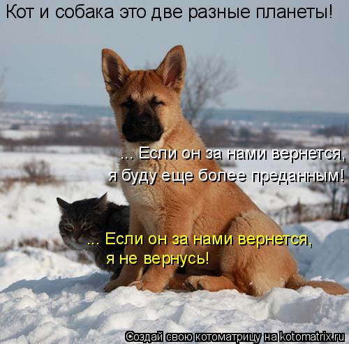 ... Если он за нами вернется, я буду еще более преданным! ... Если он за нами вернется, я не вернусь!... Котоматрица: ... Если он за нами вернется, я буду еще более преданным! ... Если он за нами вернется, я не вернусь! Кот и собака это две разные планеты!