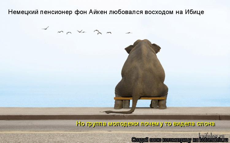 Котоматрица: Немецкий пенсионер фон Айкен любовался восходом на Ибице Но группа молодежи почему то видела слона