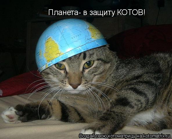 Планета- в защиту КОТОВ!... Котоматрица: Планета- в защиту КОТОВ!