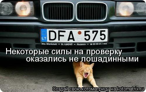 Некоторые силы на проверку оказались не лошадинными... Котоматрица: Некоторые силы на проверку оказались не лошадинными