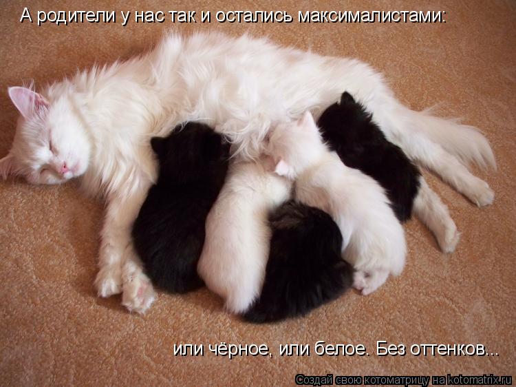 Котоматрица: А родители у нас так и остались максималистами: или чёрное, или белое. Без оттенков...