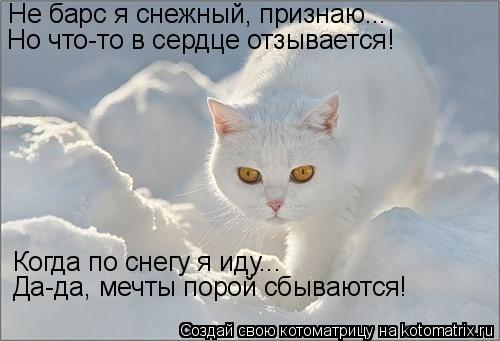 Котоматрица: Но что-то в сердце отзывается! Когда по снегу я иду... Да-да, мечты порой сбываются! Не барс я снежный, признаю...