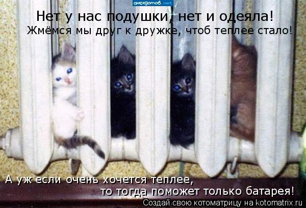 Котоматрица: Нет у нас подушки, нет и одеяла! Жмёмся мы друг к дружке, чтоб теплее стало! А уж если очень хочется теплее, то тогда поможет только батарея!