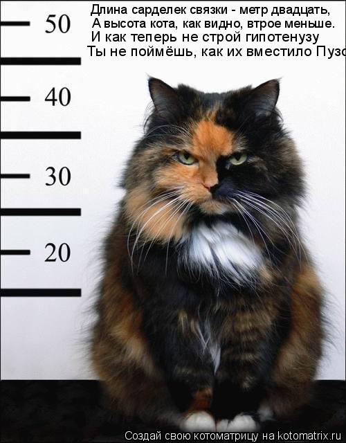 Длина сарделек связки - метр двадцать, А высота кота, как видно, втрое меньше. И как теперь не строй ... Котоматрица: Длина сарделек связки - метр двадцать, А высота кота, как видно, втрое меньше. И как теперь не строй гипотенузу Ты не поймёшь, как их вместило
