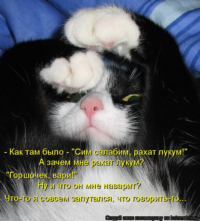- Как там было - "Сим салабим, рахат лукум!" А зачем мне рахат лукум? "Горшочек, вари!" Ну и что он м... Котоматрица: - Как там было - "Сим салабим, рахат лукум!" А зачем мне рахат лукум? "Горшочек, вари!" Ну и что он мне наварит? Что-то я совсем запутался, что гово