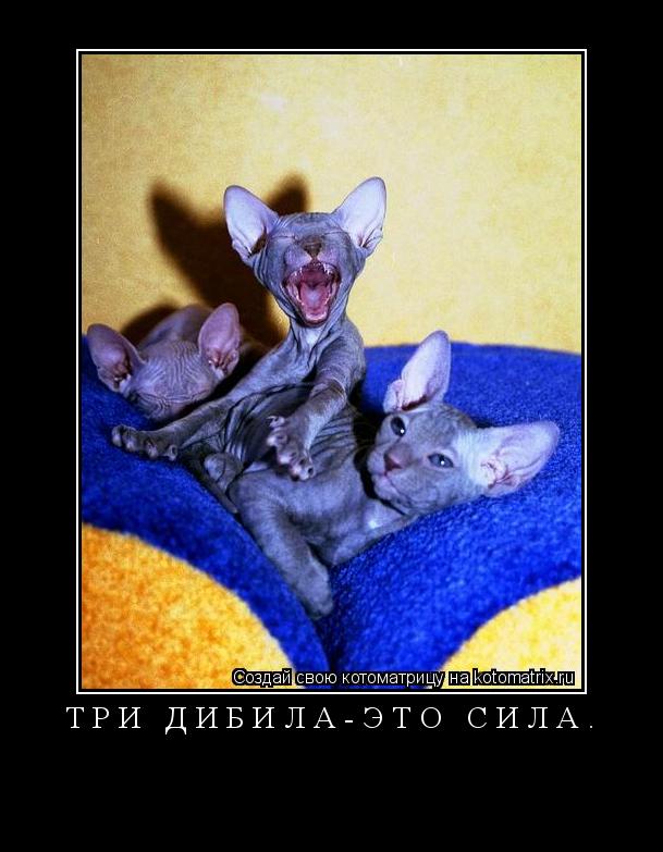 Три дибила-это сила. ... Котоматрица: Три дибила-это сила.