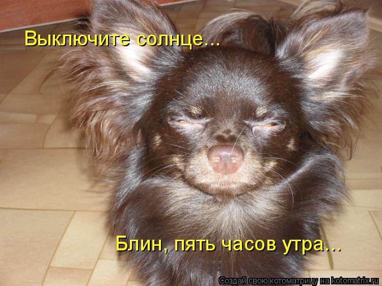 Котоматрица: Выключите солнце... Блин, пять часов утра...