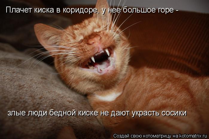 Плачет киска в коридоре, у нее большое горе - Плачет киска в коридоре, у нее большое горе - злые лю... Котоматрица: Плачет киска в коридоре, у нее большое горе - Плачет киска в коридоре, у нее большое горе - злые люди бедной киске не дают украсть сосики злы