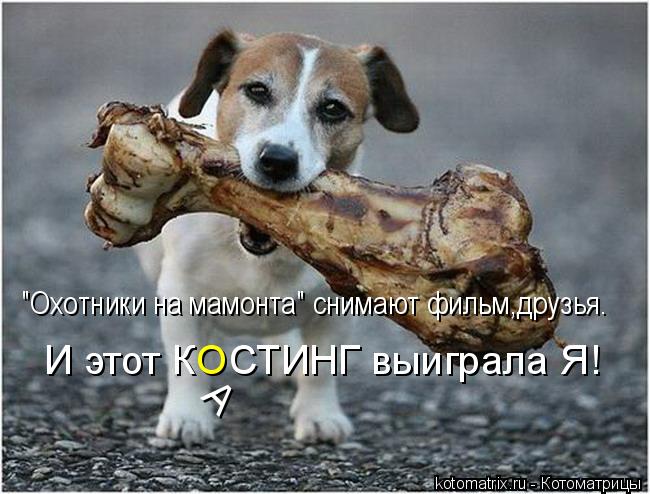 "Охотники на мамонта" снимают фильм,друзья. И этот К СТИНГ выиграла Я! А О... Котоматрица: "Охотники на мамонта" снимают фильм,друзья. И этот К СТИНГ выиграла Я! А О