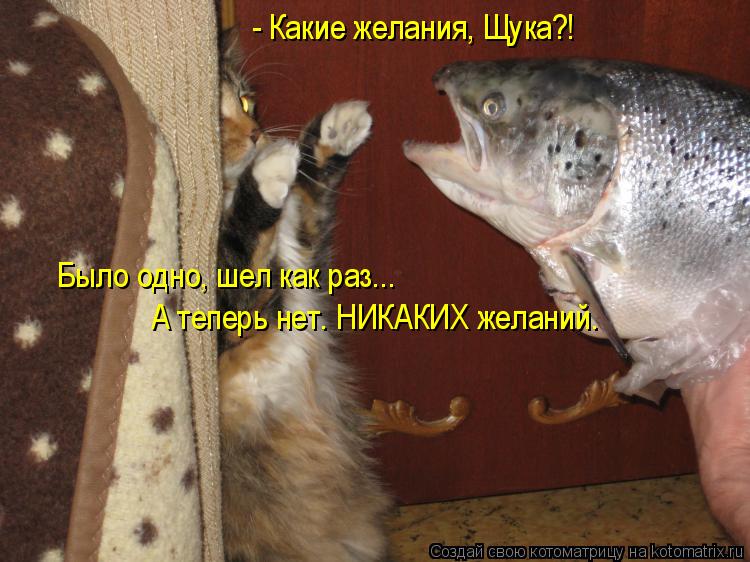 - Какие желания, Щука?! Было одно, шел как раз... А теперь нет. НИКАКИХ желаний.... Котоматрица: - Какие желания, Щука?! Было одно, шел как раз... А теперь нет. НИКАКИХ желаний.